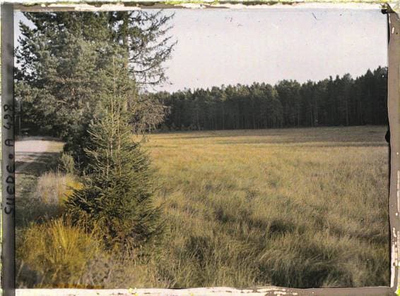 RECORD DATE NOT STATED Between Leksand and Sala, Sweden Route de Campagne , 1910 - Voyage of Albert Kahn and Auguste LÃ on in Scandinavia - (August 9 - September 14) (French - ï»¿Entre Leksand et Sala , Suede Route de campagne). Landscape, car, Nature , Environment, Leksand road to Sala, clearing Copyright: xpiemagsx AKahnlpie020223-5211 !ACHTUNG AUFNAHMEDATUM GESCHÄTZT!