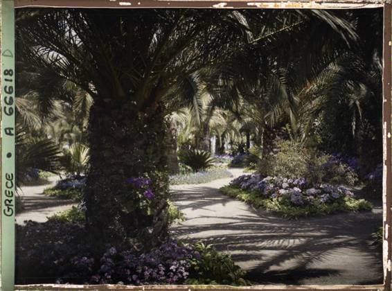 RECORD DATE NOT STATED Corfu, Greece the Achilleion - Les Jardins , 1913 - Balkans, Italy - Jean Brunhes and Auguste LÃ on - (September - October 23) (French - ï»¿Corfou , Grece L Achilleion - Les Jardins). Palm , palm grove, flower, villa, park , garden, flowerbed, palace , castle, vegetation , botany, Habitat , architecture, nature , environment, Greece, Corfu, Achilleion - Les Jardins Copyright: xpiemagsx AKahnlpie020223-1409 !ACHTUNG AUFNAHMEDATUM GESCHÄTZT!