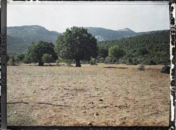 RECORD DATE NOT STATED Domaine de TatoÃ¯, Greece on the road to Athens at the foot of the Parnes , 1913 - Balkans, Italy - Jean Brunhes and Auguste LÃ on - (September - October 23) (French - ï»¿Domaine de TatoÃ¯ , Grece Sur la route d Athenes au pied du Parnes). Landscape, forest , wood, exists in high definition, field, vegetation , botany, Nature , Environment, HD, Greece, that, on the road, direction towards Athens, wooded landscapes of Parnes Copyright: xpiemagsx AKahnlpie020223-4304 !ACHTUNG AUFNAHMEDATUM GESCHÄTZT!