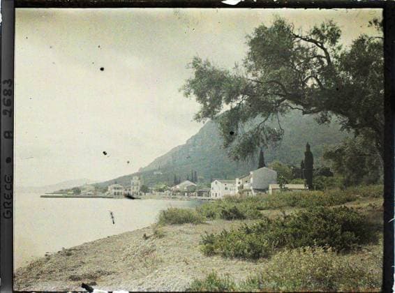 RECORD DATE NOT STATED Corfu, Greece Panorama of the village of Benitsses , 1913 - Balkans, Italy - Jean Brunhes and Auguste LÃ on - (September - October 23) (French - ï»¿Corfou , Grece Panorama du village de Benitses). Landscape, sea , ocean, agglomeration panorama, Nature , Environment, Habitat , Architecture, Greece, Corfu, the village of Benitsa with an olive tree in the 1st plan Copyright: xpiemagsx AKahnlpie020223-3503 !ACHTUNG AUFNAHMEDATUM GESCHÄTZT!