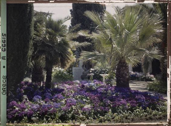 RECORD DATE NOT STATED Corfu, Greece the Achilleion - Les Jardins , 1913 - Balkans, Italy - Jean Brunhes and Auguste LÃ on - (September - October 23) (French - ï»¿Corfou , Grece L Achilleion - Les Jardins). Palm , palm grove, flower, villa, park , garden, flowerbed, palace , castle, vegetation , botany, Habitat , architecture, nature , environment, Greece, Corfu, Achilleion - Les Jardins Copyright: xpiemagsx AKahnlpie020223-1406 !ACHTUNG AUFNAHMEDATUM GESCHÄTZT!