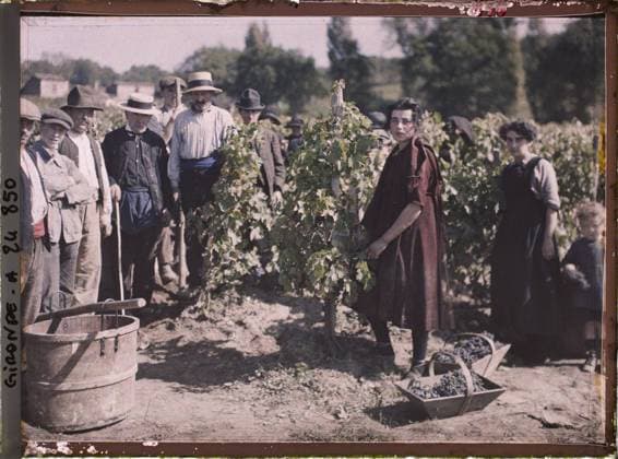RECORD DATE NOT STATED Saint-Emilion, France Harvesting Men and Women at ChÃ¢teau Pavie , 1920-1921 - Charente, Gironde, Basse -PyrÃ nÃ es, Hautes PyrÃ nÃ es - Fernand Cuville (French - ï»¿Saint-Emilion , France Vendangeurs hommes et femmes au ChÃ¢teau Pavie). Woman, costume, agriculture , breeding, group portrait, workwear, barrel, hairstyle , headgear, vine, man, Human beings, clothing, economic activity, France, St Emilion, harvest at ChÃ¢teau Pavie, Grand 1er CrÃ» Copyright: xpiemagsx AKahnlpie020223-21831 !ACHTUNG AUFNAHMEDATUM GESCHÄTZT!