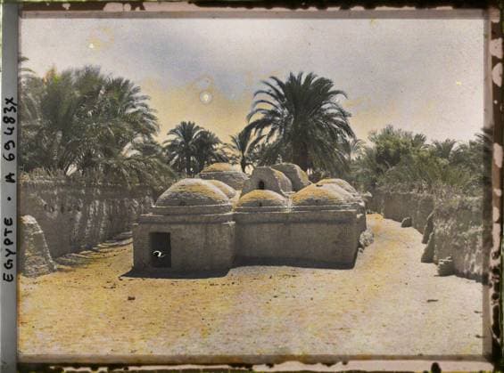 RECORD DATE NOT STATED Surroundings of Louqor, Egypt, Africa Poulaillers in the village , 1918 - Near East, Egypt, Palestine, Cyprus - Paul Castelnau (photographic section of the armies) - (January 9 -October 6) (French - ï»¿Environs de Louqsor , Egypte , Afrique Poulaillers dans le village). Agriculture , Breeding, palm , palm grove, roof, rural architecture, Economic activity, Habitat , Architecture Copyright: xpiemagsx AKahnlpie020223-8130 !ACHTUNG AUFNAHMEDATUM GESCHÄTZT!