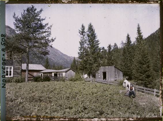RECORD DATE NOT STATED Surroundings of Dalen, Norway a field in Moen near Tokke , 1910 - Voyage of Albert Kahn and Auguste LÃ on in Scandinavia - (August 9 - September 14) (French - ï»¿Environs de Dalen , Norvege Un champ Ã Moen pres de Tokke). Woman, Mont , Mountain, Agriculture , Breeding, Work scene, farm, exists in high definition, child, rural life, peasant, rural architecture, Human beings, economic activity, daily life, HD, Habitat , Architecture, Dalen road to KaukÃ li (Edland) a farm Copyright: xpiemagsx AKahnlpie020223-16017 !ACHTUNG AUFNAHMEDATUM GESCHÄTZT!