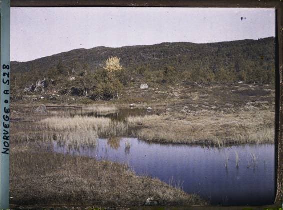 RECORD DATE NOT STATED Roldal, Norway Lakes from Lake Votna? , 1910 - Voyage of Albert Kahn and Auguste LÃ on in Scandinavia - (August 9 - September 14) (French - ï»¿Roldal , Norvege Les bords du lac Votna?). Landscape, forest , wood, lake , pond, hydrography, Nature , Environment, De KaukÃ li Ã arake (Roldal) Copyright: xpiemagsx AKahnlpie020223-15514 !ACHTUNG AUFNAHMEDATUM GESCHÄTZT!