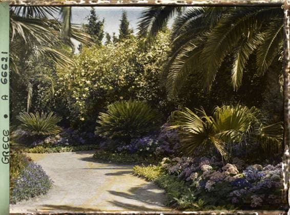 RECORD DATE NOT STATED Corfu, Greece the Achilleion - Les Jardins , 1913 - Balkans, Italy - Jean Brunhes and Auguste LÃ on - (September - October 23) (French - ï»¿Corfou , Grece L Achilleion - Les Jardins). Palm , palm grove, flower, villa, park , garden, flowerbed, palace , castle, vegetation , botany, Habitat , architecture, nature , environment, Greece, Corfu, Achilleion - Les Jardins Copyright: xpiemagsx AKahnlpie020223-1414 !ACHTUNG AUFNAHMEDATUM GESCHÄTZT!