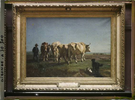 RECORD DATE NOT STATED Bordeaux, France The Table Boast Au Labor by Constant Troyon, Museum of Fine Arts , 1920-1921 - Charente, Gironde, Basse -PyrÃ nÃ es, Hautes PyrÃ nÃ es - Fernand Cuville (French - ï»¿Bordeaux , France Le tableau Â«Boeufs au labourÂ» de Constant Troyon , musÃ e des Beaux-Arts). Museum, represented animal , fantastic animal, painting, Animal , Art, France, Bordeaux, Museum: Oxes (Troyon) Copyright: xpiemagsx AKahnlpie020223-23449 !ACHTUNG AUFNAHMEDATUM GESCHÄTZT!