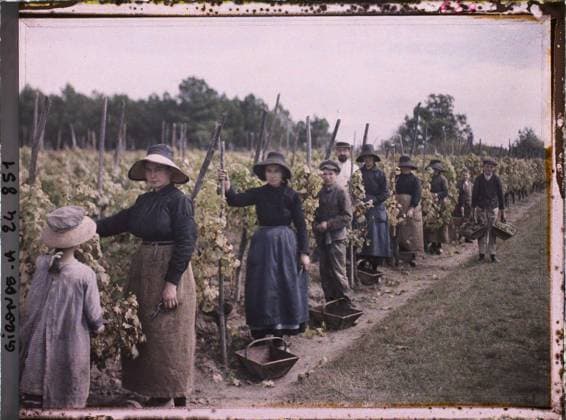 RECORD DATE NOT STATED Saint-Emilion, France Harvesting, men and women , 1920-1921 - Charente, Gironde, Basse -PyrÃ nÃ es, Hautes PyrÃ nÃ es - Fernand Cuville (French - ï»¿Saint-Emilion , France Les vendangeurs , hommes et femmes). Woman, costume, agriculture , breeding, work scene, child, group portrait, field, peasant, work clothing, hairstyle , headgear, vineyard, Human beings, clothing, economic activity, daily life, France, Sauternes, harvesting Copyright: xpiemagsx AKahnlpie020223-21832 !ACHTUNG AUFNAHMEDATUM GESCHÄTZT!