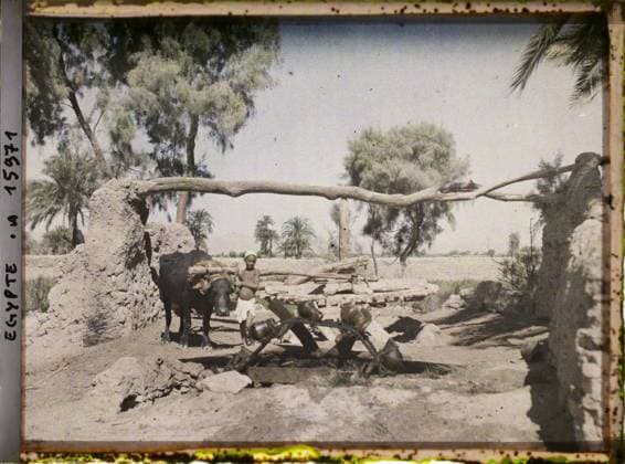 RECORD DATE NOT STATED Surroundings of Louqor, Egypt, Africa SakiÃ h in B? Uf , 1918 - Near East, Egypt, Palestine, Cyprus - Paul Castelnau (photographic section of the armies) - (January 9 -October 6) (French - ï»¿Environs de Louqsor , Egypte , Afrique SakiÃ h Ã b?uf). Costume, agriculture , breeding, beef, irrigation, child, rural architecture, noria, ceramics, hydraulic installation, Clothing, economic activity, human beings, housing , architecture, Egypt, SakyÃ near Hamari (surroundings of Louqsor) Copyright: xpiemagsx AKahnlpie020223-8118 !ACHTUNG AUFNAHMEDATUM GESCHÄTZT!
