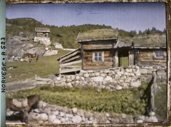 RECORD DATE NOT STATED Roldal, Norway wooden houses with grassy roofing , 1910 - Voyage of Albert Kahn and Auguste LÃ on in Scandinavia - (August 9 - September 14) (French - ï»¿Roldal , Norvege maisons de bois Ã toiture herbeuse). Horse, Mont , Mountain, real animal, agriculture , breeding, hut, rural architecture, Animal, economic activity, housing , architecture, De KaukÃ li Ã arake fond Copyright: xpiemagsx AKahnlpie020223-15512 !ACHTUNG AUFNAHMEDATUM GESCHÄTZT!