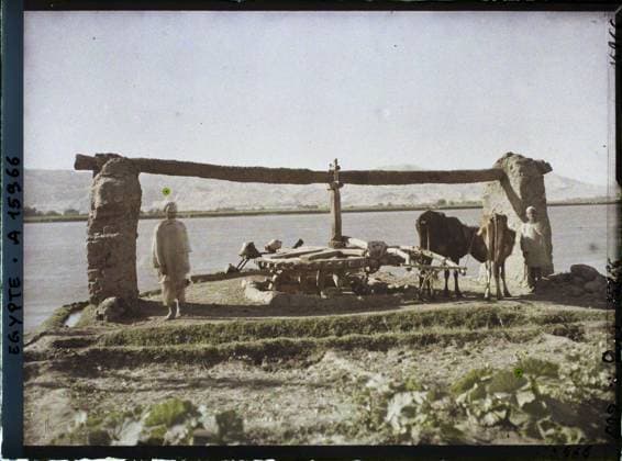 RECORD DATE NOT STATED Near Louqsor, Egypt, Africa SakiÃ h in B? Uf by the Nile , 1918 - Near East, Egypt, Palestine, Cyprus - Paul Castelnau (photographic section of the armies) - (January 9 -October 6) (French - ï»¿Pres de Louqsor , Egypte , Afrique SakiÃ h Ã b?uf au bord du Nil). Costume, agriculture , breeding, river, beef, irrigation, child, rural architecture, noria, ceramics, hydraulic installation, Clothing, economic activity, human beings, housing , architecture, Egypt, near Louqsor, SakkyÃ near Louqsor. Copyright: xpiemagsx AKahnlpie020223-8113 !ACHTUNG AUFNAHMEDATUM GESCHÄTZT!