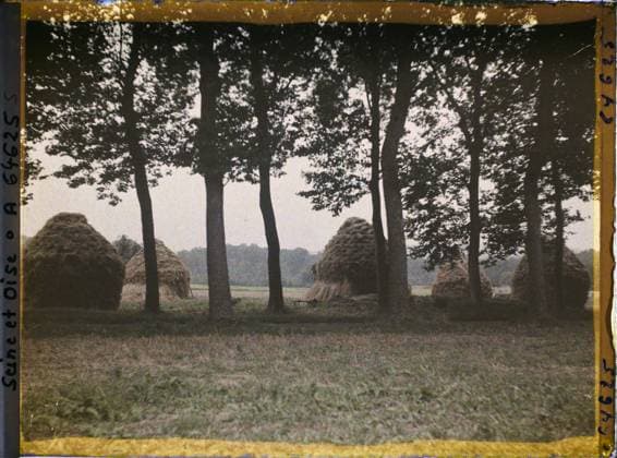 RECORD DATE NOT STATED Nointel , France , 1930 - Ile -de -France - StÃ phane Passet - (September -October) (French - ï»¿Nointel , France). Agriculture , breeding, hay, road, field, Economic activity, Ile de France, Nointel, wheat grinds (rainy weather) on the edge of a poplar alley (gray time) Copyright: xpiemagsx AKahnlpie020223-22469 !ACHTUNG AUFNAHMEDATUM GESCHÄTZT!
