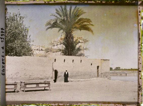 RECORD DATE NOT STATED Surroundings of Louqor, Egypt, Africa Pigeonniers du Village , 1918 - Near East, Egypt, Palestine, Cyprus - Paul Castelnau (photographic section of the armies) - (January 9 -October 6) (French - ï»¿Environs de Louqsor , Egypte , Afrique Pigeonniers du village). Palm , palm grove, pigeon, rural architecture, home, dovecote, man, Habitat , architecture, human beings, Egypt, near Louqsor, Hamari near Louksor Pigeonniers Copyright: xpiemagsx AKahnlpie020223-8124 !ACHTUNG AUFNAHMEDATUM GESCHÄTZT!