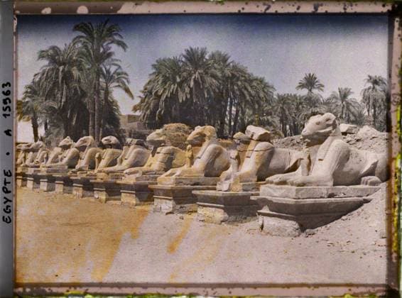 RECORD DATE NOT STATED Karnak, Egypt, Africa AllÃ e de bÃ liers leading to the temple of Amon , 1918 - Near East, Egypt, Palestine, Cyprus - Paul Castelnau (photographic section of the armies) - (January 9 -October 6) (French - ï»¿Karnak , Egypte , Afrique AllÃ e de bÃ liers menant au temple d Amon). Statue, temple, represented animal , fantastic animal, archaeological vestige, sphinx, sculpture, Egyptian polytheism, Animal , Habitat , Architecture , Art , Religion, Egypt, Karnak, at the bottom of the Hypostyle Hall Copyright: xpiemagsx AKahnlpie020223-8110 !ACHTUNG AUFNAHMEDATUM GESCHÄTZT!