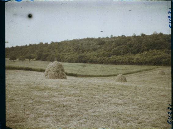 RECORD DATE NOT STATED Gisors, Eure, Normandy, France Prairie, wheat and wood , 1930 - Ile -de -France - StÃ phane Passet - (May 1, July 8) (French - ï»¿Gisors , Eure , Normandie , France Prairie , blÃ et bois). Landscape, agriculture , breeding, hay, forest , wood, field, Nature , environment, economic activity, Ile de France, gisors, meadow, wheat and wood Copyright: xpiemagsx AKahnlpie020223-8766 !ACHTUNG AUFNAHMEDATUM GESCHÄTZT!