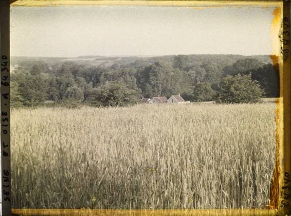 RECORD DATE NOT STATED Vallangoujard, France , 1930 - Ile -de -France - StÃ phane Passet - (May 1, July 8) (French - ï»¿Vallangoujard , France). Landscape, agriculture , breeding, wheat, forest , wood, field, home, cereal, vegetation , botany, Nature , Environment, Economic Activity, Habitat , Architecture, Ile de France, Vallangoujard, wheat field overlooking the valley Copyright: xpiemagsx AKahnlpie020223-22432 !ACHTUNG AUFNAHMEDATUM GESCHÄTZT!