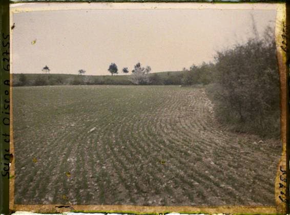 RECORD DATE NOT STATED Vallangoujard, France , 1930 - Ile -de -France - StÃ phane Passet - (June 28 -July 8) (French - ï»¿Vallangoujard , France). Landscape, agriculture , farming, field, Nature , environment, economic activity, Ile de France, Vallangoujard, wheat field - at the start of the growth Copyright: xpiemagsx AKahnlpie020223-21266 !ACHTUNG AUFNAHMEDATUM GESCHÄTZT!