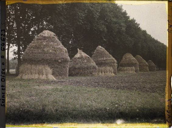 RECORD DATE NOT STATED Nointel , France , 1930 - Ile -de -France - StÃ phane Passet - (September -October) (French - ï»¿Nointel , France). Agriculture , Breeding, Hay, Field, Economic activity, Ile de France, Nointel, wheat grinds (rainy weather) on the edge of a poplar alley (gray time) Copyright: xpiemagsx AKahnlpie020223-22466 !ACHTUNG AUFNAHMEDATUM GESCHÄTZT!
