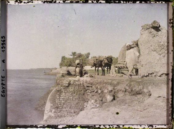 RECORD DATE NOT STATED Near Louqsor, Egypt, Africa SakiÃ h in B? Uf by the Nile , 1918 - Near East, Egypt, Palestine, Cyprus - Paul Castelnau (photographic section of the armies) - (January 9 -October 6) (French - ï»¿Pres de Louqsor , Egypte , Afrique SakiÃ h Ã b?uf au bord du Nil). Costume, agriculture , breeding, river, beef, irrigation, rural architecture, noria, ceramics, hydraulic installation, man, Clothing, economic activity, housing , architecture, human beings, Egypt, near Louqsor, SakkyÃ near Louqsor. Copyright: xpiemagsx AKahnlpie020223-8112 !ACHTUNG AUFNAHMEDATUM GESCHÄTZT!