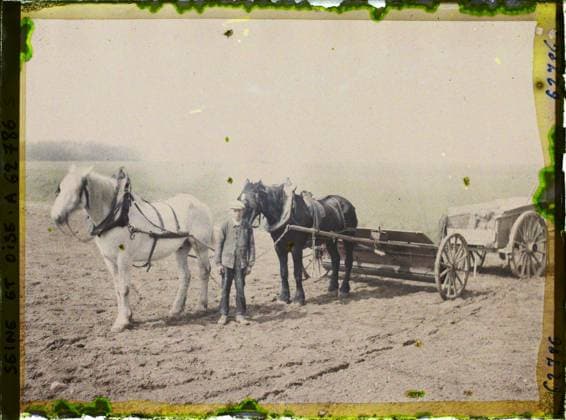 RECORD DATE NOT STATED Vallangoujard, France , 1930 - Ile -de -France - StÃ phane Passet - (June 28 -July 8) (French - ï»¿Vallangoujard , France). Animal transport, horse, real animal, agriculture , breeding, hitch, cart, field, peasant, agricultural equipment, man, Transport, animal, economic activity, human beings, Ile de France, Vallangoujard, farmer covering a fertilizer a seeded field of beets Copyright: xpiemagsx AKahnlpie020223-21298 !ACHTUNG AUFNAHMEDATUM GESCHÄTZT!
