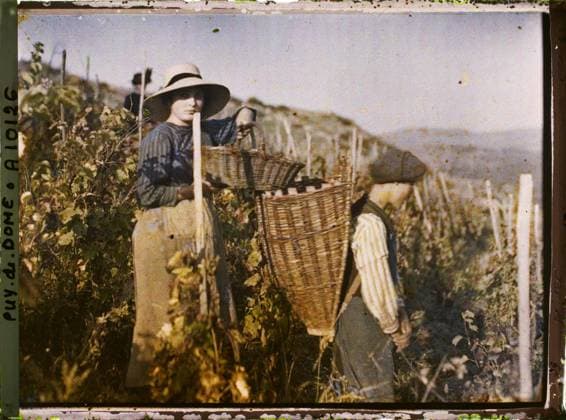RECORD DATE NOT STATED Sauvagnat, France , 1916-1917 - Auvergne - StÃ phane Passet - (September 1916 - February 1917) (French - ï»¿Sauvagnat , France). Work of women, women, agriculture , breeding, work scene, child, rural life, harvest, peasant, child work, work clothing, hairstyle , headgear, vineyard, Society, human beings, economic activity, daily life, clothing, France, Sauvagnat, a young harvest and her grape basket Copyright: xpiemagsx AKahnlpie020223-9978 !ACHTUNG AUFNAHMEDATUM GESCHÄTZT!