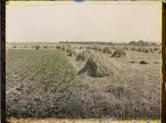 RECORD DATE NOT STATED BouffÃ mont (?), France , 1930 - Ile -de -France - StÃ phane Passet - (June 28 -July 8) (French - ï»¿BouffÃ mont ( ? ) , France). Agriculture , Breeding, Hay, Field, Economic activity Copyright: xpiemagsx AKahnlpie020223-22619 !ACHTUNG AUFNAHMEDATUM GESCHÄTZT!