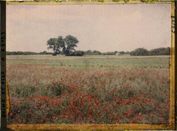 RECORD DATE NOT STATED Cormeilles-en-Parisis, France , 1930 - Ile -de -France - StÃ phane Passet - (May 1, July 8) (French - ï»¿Cormeilles-en-Parisis , France). Landscape, agriculture , breeding, poppy , poppy, field, flower, vegetation , botany, Nature , environment, economic activity, Ile de France, Cormeilles en Parisis, wheat and poppy Copyright: xpiemagsx AKahnlpie020223-22368 !ACHTUNG AUFNAHMEDATUM GESCHÄTZT!