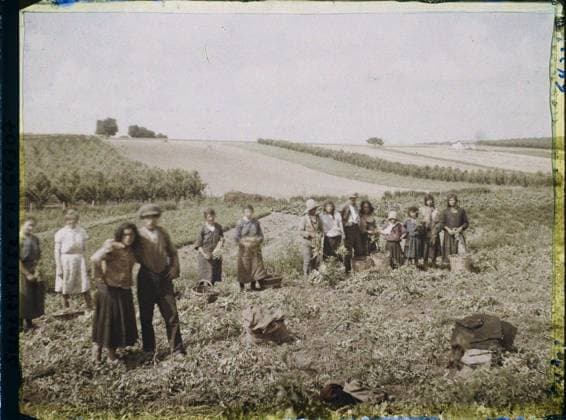 RECORD DATE NOT STATED Sarcelles-Saint-Brice, France , 1930 - Ile -de -France - StÃ phane Passet - (May 1, July 8) (French - ï»¿Sarcelles-Saint-Brice , France). Woman, agriculture , breeding, work scene, child, rural life, harvest, field, work clothing, orchard, vegetation , botany, vegetable patch, man, Human beings, economic activity, daily life, clothing, nature , environment, Ile de France, Sarcelle St Briec, the picking of peas Copyright: xpiemagsx AKahnlpie020223-22405 !ACHTUNG AUFNAHMEDATUM GESCHÄTZT!