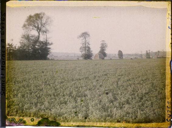 RECORD DATE NOT STATED Le Pin, France , 1930 - Ile -de -France - StÃ phane Passet - (September -October) (French - ï»¿Le Pin , France). Landscape, agriculture , breeding, hay, field, vegetation , botany, Nature , environment, economic activity, Seine et Marne, pine, plain forward of the village Copyright: xpiemagsx AKahnlpie020223-21665 !ACHTUNG AUFNAHMEDATUM GESCHÄTZT!