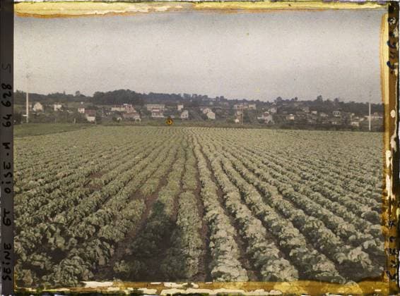 RECORD DATE NOT STATED Sarcelles-Saint-Brice, France , 1930 - Ile -de -France - StÃ phane Passet - (September -October) (French - ï»¿Sarcelles-Saint-Brice , France). Landscape, agriculture , breeding, photographer shadow, field, vegetable, agglomeration panorama, vegetation , botanical, vegetable patch, Nature , Environment, Economic Activity, Habitat , Architecture, Ile de France, Sarcelles St Brieuc, salad fields in the sunset Copyright: xpiemagsx AKahnlpie020223-22471 !ACHTUNG AUFNAHMEDATUM GESCHÄTZT!
