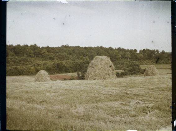RECORD DATE NOT STATED Gisors, Eure, Normandy, France Prairie and hay in heaps , 1930 - Ile -de -France - StÃ phane Passet - (May 1, July 8) (French - ï»¿Gisors , Eure , Normandie , France Prairie et foin en tas). Landscape, agriculture , breeding, hay, field, Nature , environment, economic activity, Gisors, meadow, and hay in heaps Copyright: xpiemagsx AKahnlpie020223-8761 !ACHTUNG AUFNAHMEDATUM GESCHÄTZT!