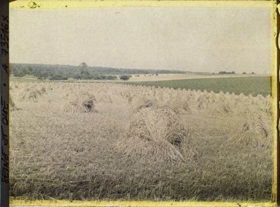 RECORD DATE NOT STATED BouffÃ mont (?), France , 1930 - Ile -de -France - StÃ phane Passet - (June 28 -July 8) (French - ï»¿BouffÃ mont ( ? ) , France). Landscape, agriculture , breeding, hay, field, Nature , environment, economic activity Copyright: xpiemagsx AKahnlpie020223-22615 !ACHTUNG AUFNAHMEDATUM GESCHÄTZT!