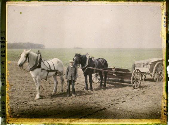 RECORD DATE NOT STATED Vallangoujard, France , 1930 - Ile -de -France - StÃ phane Passet - (June 28 -July 8) (French - ï»¿Vallangoujard , France). Animal transport, horse, real animal, agriculture , breeding, hitch, cart, field, peasant, agricultural equipment, man, Transport, animal, economic activity, human beings, Ile de France, Vallangoujard, farmer covering a fertilizer a seeded field of beets Copyright: xpiemagsx AKahnlpie020223-21296 !ACHTUNG AUFNAHMEDATUM GESCHÄTZT!