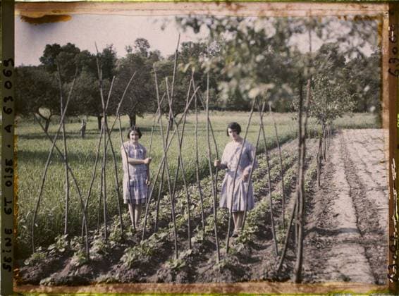 RECORD DATE NOT STATED Vaux, France , 1930 - Ile -de -France - StÃ phane Passet - (June 28 -July 8) (French - ï»¿Vaux , France). Woman, agriculture , breeding, portrait, field, vegetable patch, Human beings, economic activity, Ile de France, Vaux, young girls rowing beans Copyright: xpiemagsx AKahnlpie020223-22340 !ACHTUNG AUFNAHMEDATUM GESCHÄTZT!
