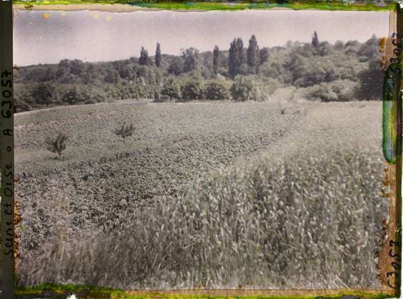 RECORD DATE NOT STATED Triel, France , 1930 - Ile -de -France - StÃ phane Passet - (June 28 -July 8) (French - ï»¿Triel , France). Landscape, agriculture , breeding, field, vegetation , botany, Nature , environment, economic activity, Ile de France, Triel, wheat and potatoes Copyright: xpiemagsx AKahnlpie020223-22328 !ACHTUNG AUFNAHMEDATUM GESCHÄTZT!