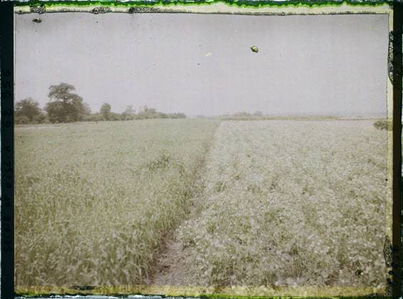 RECORD DATE NOT STATED FrÃ pillon, France , 1930 - Ile -de -France - StÃ phane Passet - (May 1, July 8) (French - ï»¿FrÃ pillon , France). Landscape, agriculture , breeding, field, vegetation , botany, Nature , environment, economic activity, Ile de France, Frepillon, wheat and pea Copyright: xpiemagsx AKahnlpie020223-22261 !ACHTUNG AUFNAHMEDATUM GESCHÄTZT!