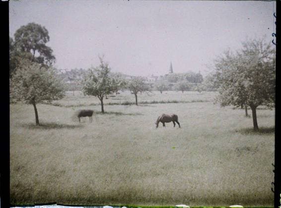 RECORD DATE NOT STATED Magny-en-Vexin, France , 1930 - Ile -de -France - StÃ phane Passet - (May 1, July 8) (French - ï»¿Magny-en-Vexin , France). Horse, landscape, real animal, agriculture , breeding, agglomeration panorama, Nature , environment, animal, economic activity, housing , architecture, Ile de France, Magny-en-Vexin, pastures Copyright: xpiemagsx AKahnlpie020223-22301 !ACHTUNG AUFNAHMEDATUM GESCHÄTZT!