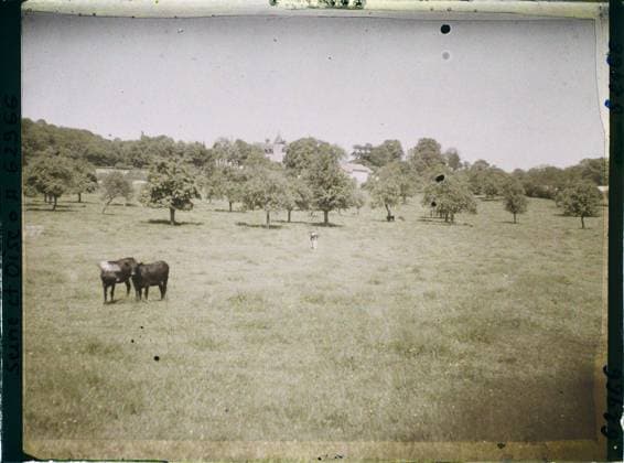 RECORD DATE NOT STATED Montsoult, France , 1930 - Ile -de -France - StÃ phane Passet - (May 1, July 8) (French - ï»¿Montsoult , France). Landscape, real animal, agriculture , breeding, flowery meadow, cow, Nature , environment, animal, economic activity, Ile de France, Montroult, pastures Copyright: xpiemagsx AKahnlpie020223-22270 !ACHTUNG AUFNAHMEDATUM GESCHÄTZT!