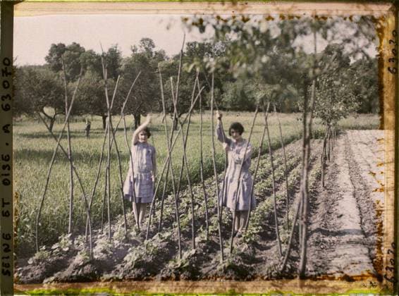 RECORD DATE NOT STATED Vaux, France , 1930 - Ile -de -France - StÃ phane Passet - (June 28 -July 8) (French - ï»¿Vaux , France). Woman, agriculture , breeding, portrait, field, vegetable patch, Human beings, economic activity, Ile de France, Vaux, young girls rowing beans Copyright: xpiemagsx AKahnlpie020223-22343 !ACHTUNG AUFNAHMEDATUM GESCHÄTZT!
