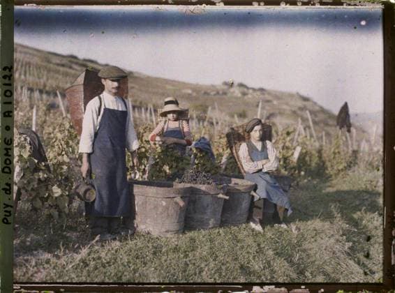 RECORD DATE NOT STATED SAUVAGNAT, France of hood carriers during the harvest , 1916-1917 - Auvergne - StÃ phane Passet - (September 1916 - February 1917) (French - ï»¿Sauvagnat , France Des porteurs de hottes pendant les vendanges). Work of women, women, agriculture , breeding, exists in high definition, child, rural life, harvest, group portrait, peasant, children s work, work clothing, fruit, hairstyle , headgear, vine, man, Society, human beings, economic activity, HD, daily life, clothing, France, Sauvagnat, the bearers of Harvests in the harvest Copyright: xpiemagsx AKahnlpie020223-9973 !ACHTUNG AUFNAHMEDATUM GESCHÄTZT!