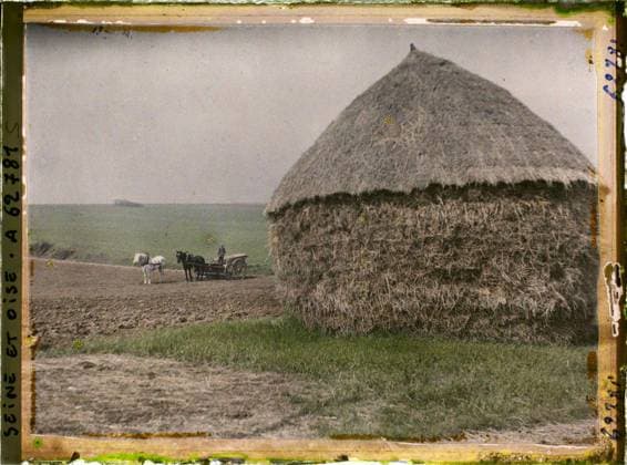RECORD DATE NOT STATED Vallangoujard, France , 1930 - Ile -de -France - StÃ phane Passet - (June 28 -July 8) (French - ï»¿Vallangoujard , France). Animal transport, horse, agriculture , breeding, hay, cart, field, peasant, man, Transport, economic activity, human beings, Ile de France, Vallangoujard, the same plowed land and sown in beets Copyright: xpiemagsx AKahnlpie020223-21291 !ACHTUNG AUFNAHMEDATUM GESCHÄTZT!