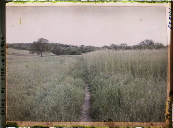RECORD DATE NOT STATED FrÃ pillon, France , 1930 - Ile -de -France - StÃ phane Passet - (May 1, July 8) (French - ï»¿FrÃ pillon , France). Landscape, agriculture , farming, field, Nature , environment, economic activity, Ile de France, Frepillon, various cultures Copyright: xpiemagsx AKahnlpie020223-22251 !ACHTUNG AUFNAHMEDATUM GESCHÄTZT!
