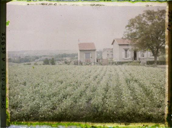 RECORD DATE NOT STATED FrÃ pillon, France , 1930 - Ile -de -France - StÃ phane Passet - (May 1, July 8) (French - ï»¿FrÃ pillon , France). Landscape, agriculture , breeding, field, rural architecture, home, vegetation , botany, Nature , Environment, Economic Activity, Habitat , Architecture, Ile de France, Frepillon, pea culture Copyright: xpiemagsx AKahnlpie020223-22258 !ACHTUNG AUFNAHMEDATUM GESCHÄTZT!