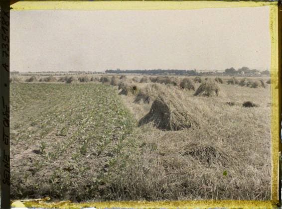 RECORD DATE NOT STATED BouffÃ mont (?), France , 1930 - Ile -de -France - StÃ phane Passet - (June 28 -July 8) (French - ï»¿BouffÃ mont ( ? ) , France). Agriculture , Breeding, Hay, Field, Economic activity Copyright: xpiemagsx AKahnlpie020223-22618 !ACHTUNG AUFNAHMEDATUM GESCHÄTZT!
