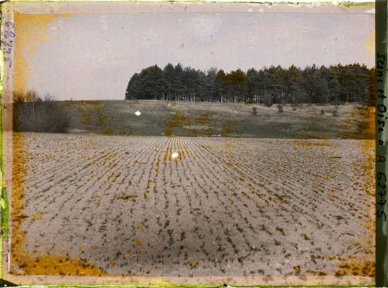 RECORD DATE NOT STATED Vallangoujard, France , 1930 - Ile -de -France - StÃ phane Passet - (June 28 -July 8) (French - ï»¿Vallangoujard , France). Landscape, agriculture , breeding, conifer, forest , wood, field, Nature , environment, economic activity, Ile de France, Vallangoujard, pea fields Copyright: xpiemagsx AKahnlpie020223-21286 !ACHTUNG AUFNAHMEDATUM GESCHÄTZT!