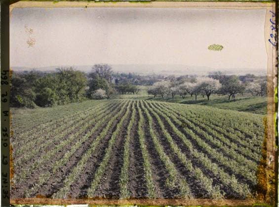 RECORD DATE NOT STATED Saint-Nom-la-Breteche, France , 1930 - Ile -de -France - StÃ phane Passet - (June 28 -July 8) (French - ï»¿Saint-Nom-la-Breteche , France). Landscape, agriculture , breeding, field, vegetable patch, Nature , environment, economic activity, Seine et Oise, St Nom la Breteche, pea culture Copyright: xpiemagsx AKahnlpie020223-22207 !ACHTUNG AUFNAHMEDATUM GESCHÄTZT!