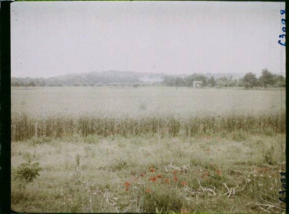 RECORD DATE NOT STATED Luzarches, France , 1930 - Ile -de -France - StÃ phane Passet - (May 1, July 8) (French - ï»¿Luzarches , France). Landscape, agriculture , breeding, poppy , poppy, field, flower, Nature , environment, economic activity, Ile de France, Luzarches, wheat field in the plain Copyright: xpiemagsx AKahnlpie020223-22341 !ACHTUNG AUFNAHMEDATUM GESCHÄTZT!