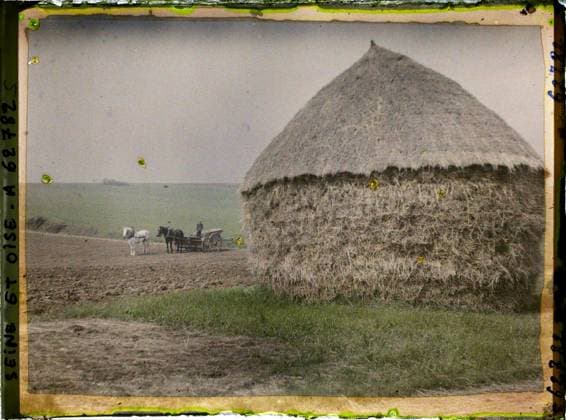 RECORD DATE NOT STATED Vallangoujard, France , 1930 - Ile -de -France - StÃ phane Passet - (June 28 -July 8) (French - ï»¿Vallangoujard , France). Animal transport, horse, agriculture , breeding, hay, cart, field, peasant, man, Transport, economic activity, human beings, Ile de France, Vallangoujard, the same plowed land and sown in beets Copyright: xpiemagsx AKahnlpie020223-21292 !ACHTUNG AUFNAHMEDATUM GESCHÄTZT!