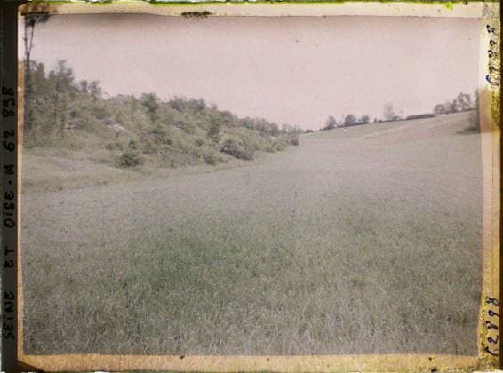 RECORD DATE NOT STATED Tessancourt , France , 1930 - Ile -de -France - StÃ phane Passet - (June 28 -July 8) (French - ï»¿Tessancourt , France). Landscape, agriculture , farming, field, Nature , environment, economic activity, Ile de France, Tessancourt, budding wheat field Copyright: xpiemagsx AKahnlpie020223-22233 !ACHTUNG AUFNAHMEDATUM GESCHÄTZT!