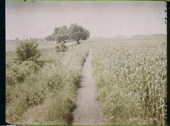 RECORD DATE NOT STATED Special, France , 1930 - Ile -de -France - StÃ phane Passet - (May 1, July 8) (French - ï»¿Ecouen , France). Landscape, agriculture , breeding, road, field, Nature , environment, economic activity, Ile de France, Ecouen, wheat field Copyright: xpiemagsx AKahnlpie020223-22314 !ACHTUNG AUFNAHMEDATUM GESCHÄTZT!